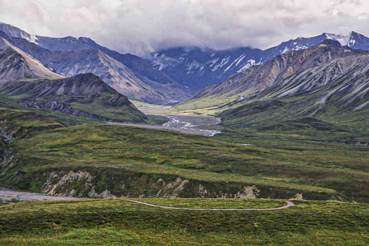 EEUU - Alaska 28 - parque nacional de Denali .jpg